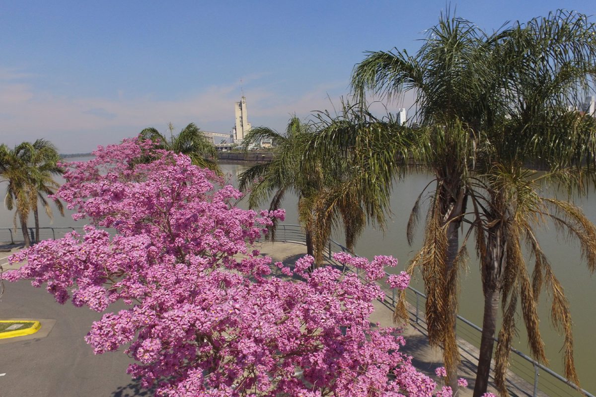 Puerto sustentable - Puerto Santa Fe 05